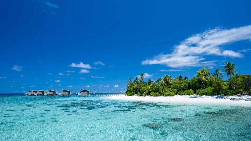 newspress collage 2dgetugvr 1776362863510