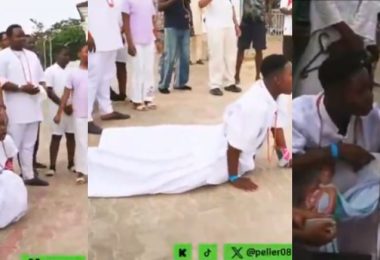 peller queen f benin 1024x435