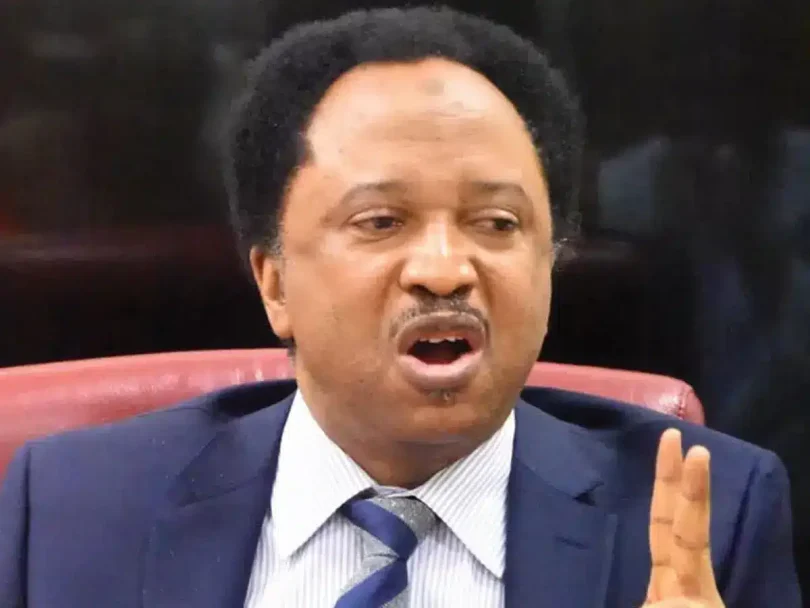 shehu sani 1