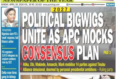 the punch 063826zq43gyi