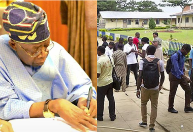 tinubu student worth