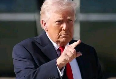1779015121002