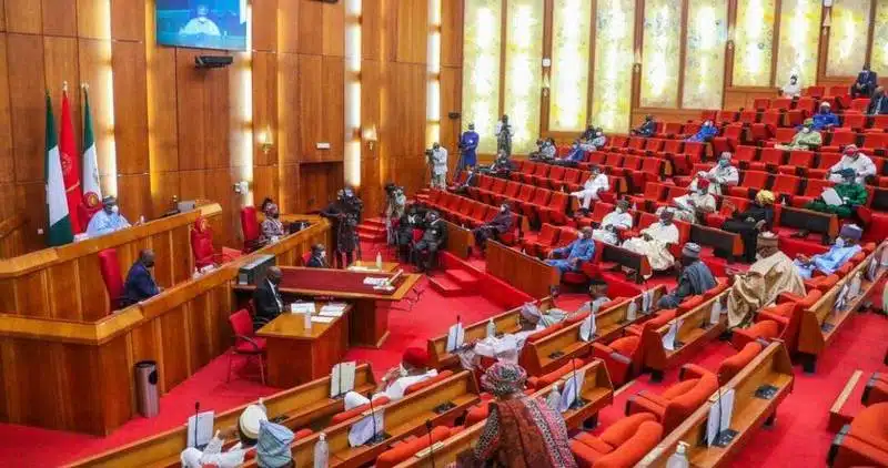 1779047116 senate 1044x551 1