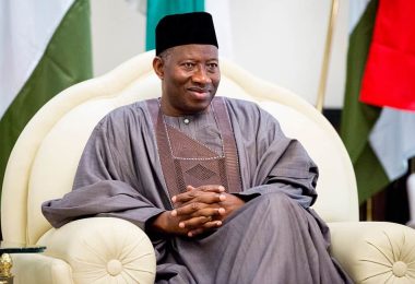 1779210625 Goodluck Ebele Azikiwe Jonathan 2010 2015