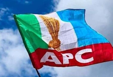 1779712232 APC flag 1024x570 1 e1684149965669