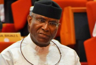 1780002017 Omo Agege