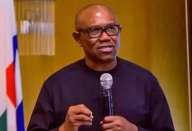 1780173021 Peter Obi 1