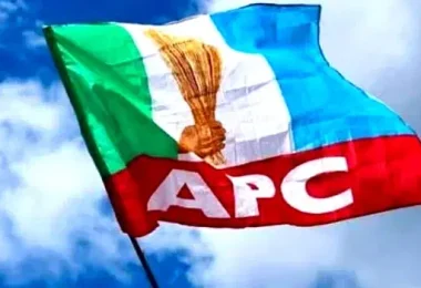 APC 1