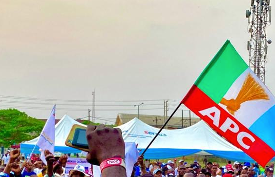 APC FLAG