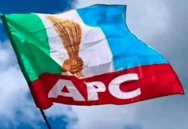 APC Flag1 1