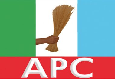APC Logo 2