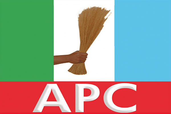 APC Logo 2