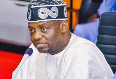 APC National Chairman 31