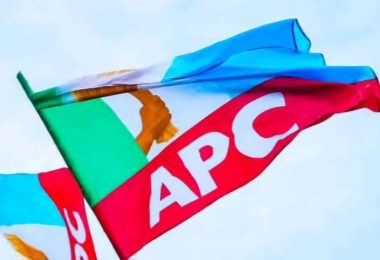 APC flag