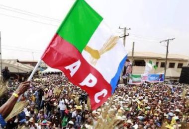 APC flag logo