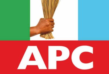 APC logo