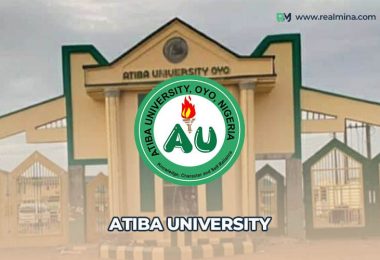 Atiba University