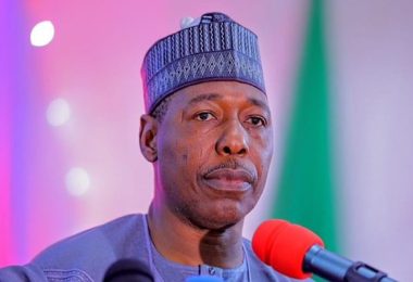 Borno Governor Zulum