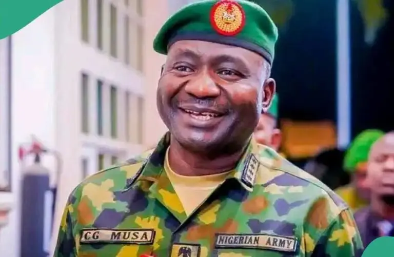 Chief of Defence Staff Gen. Christopher Musa 768x501 1