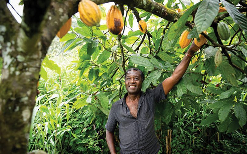 Cocoa farmer