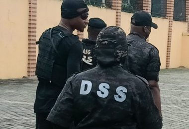 DSS 1