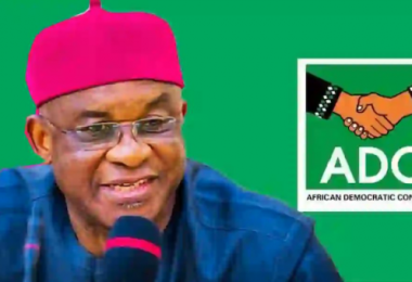 David Mark ADC