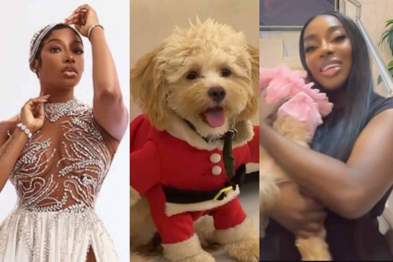 Dorcas Fapson demands answers as she loses dog