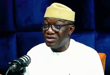 Dr Kayode Fayemi