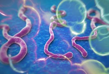 Ebola Virus