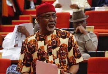 Enyinnaya Abaribe1