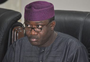 Fayemi 2
