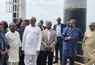 First HoldCo Femi Otedola
