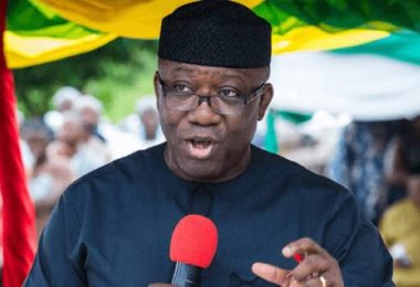 Kayode Fayemi 4