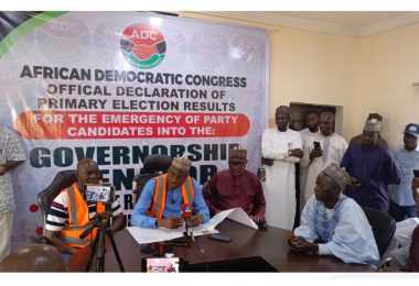 Kpautagi wins ADC governorship primary in Niger