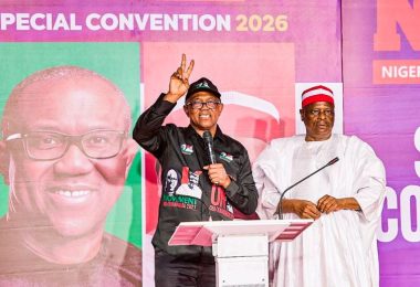 L R Former Presidential Candidates Peter Obi Rabiu Kwankwaso Image