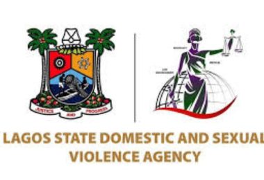 Lagos state domestic and sexual violence agency