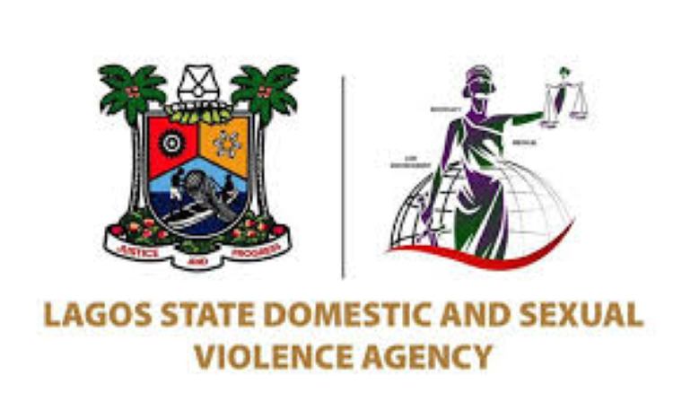 Lagos state domestic and sexual violence agency