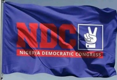 NDC logo 2026 05 04 245