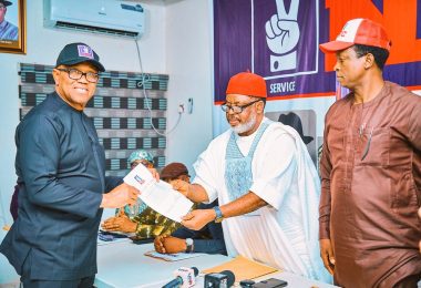 NDC screens Peter Obi for presidential race
