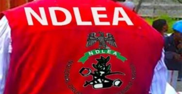 NDLEA