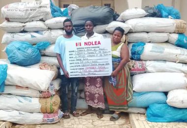 NDLEA 1