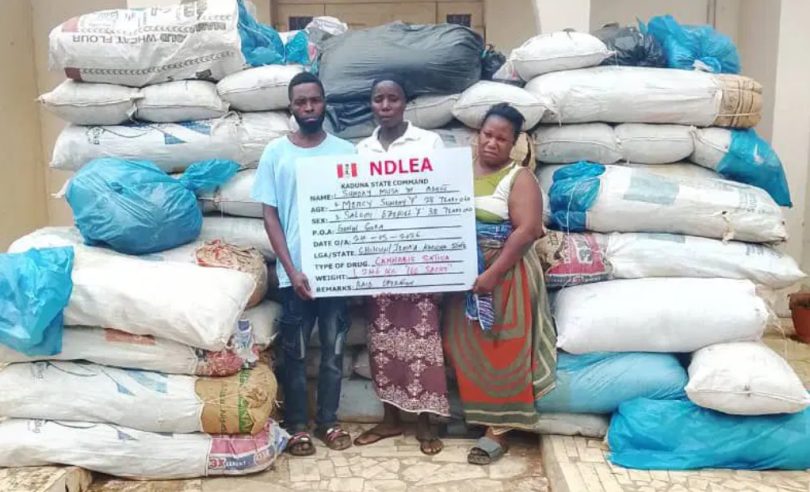 NDLEA 1