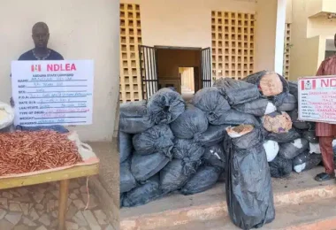 NDLEA Image