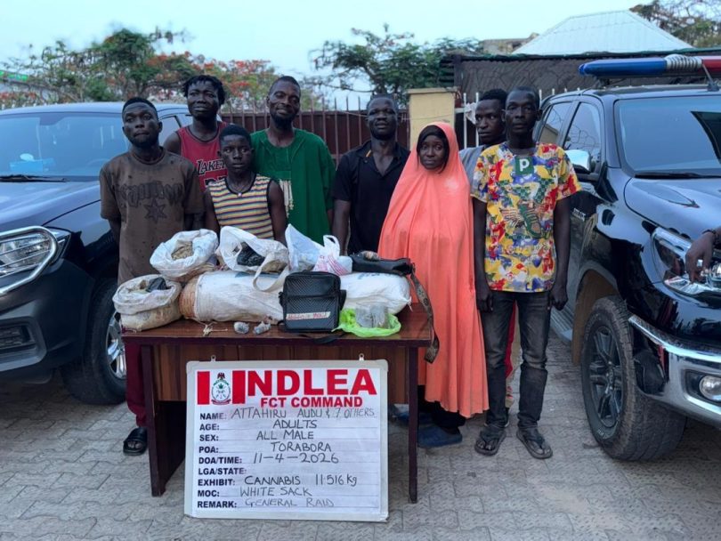 NDLEA destroys drug hubs in Abuja arrests 132 suspects