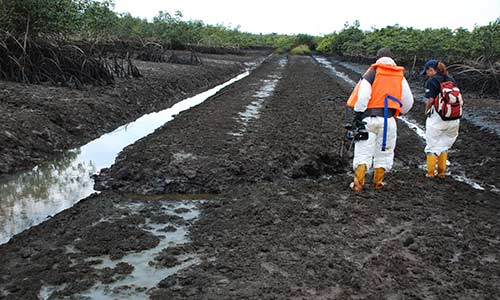 Ogoniland 2