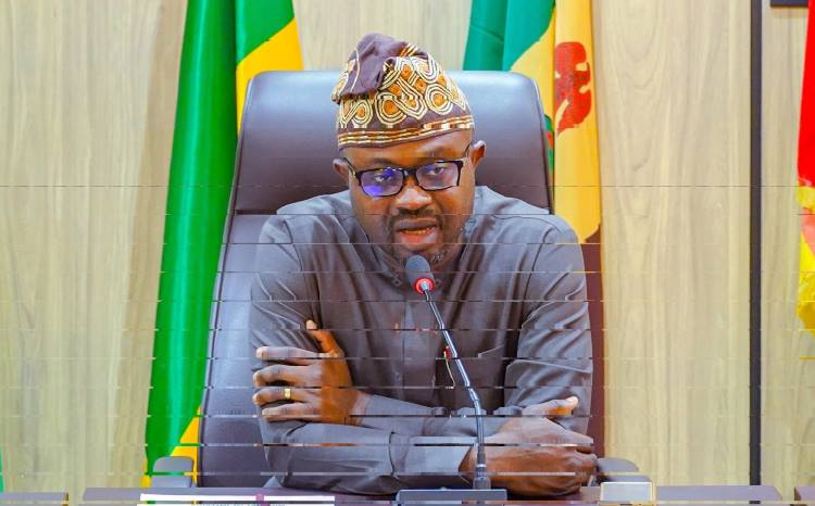 Olubunmi Tunji Ojo Interior Minister 3