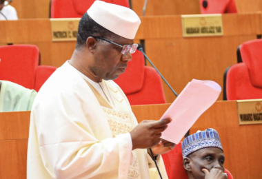 Opeyemi Bamidele Senate leader