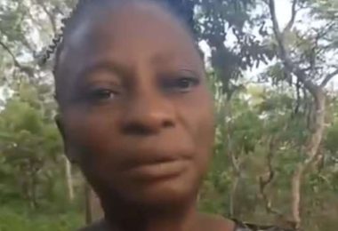 Oyo Abductor