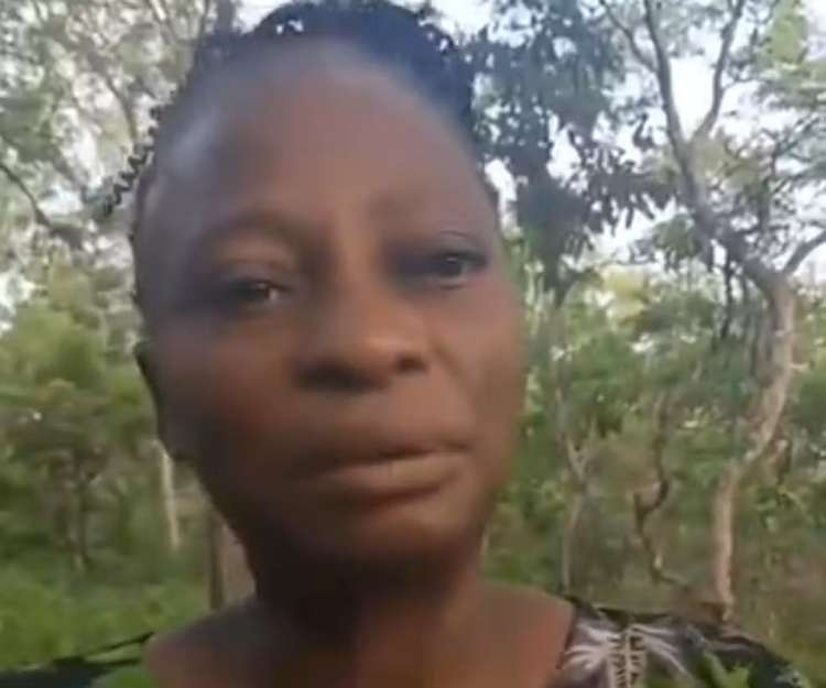 Oyo Abductor