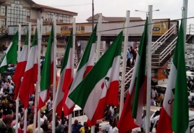 PDP flags